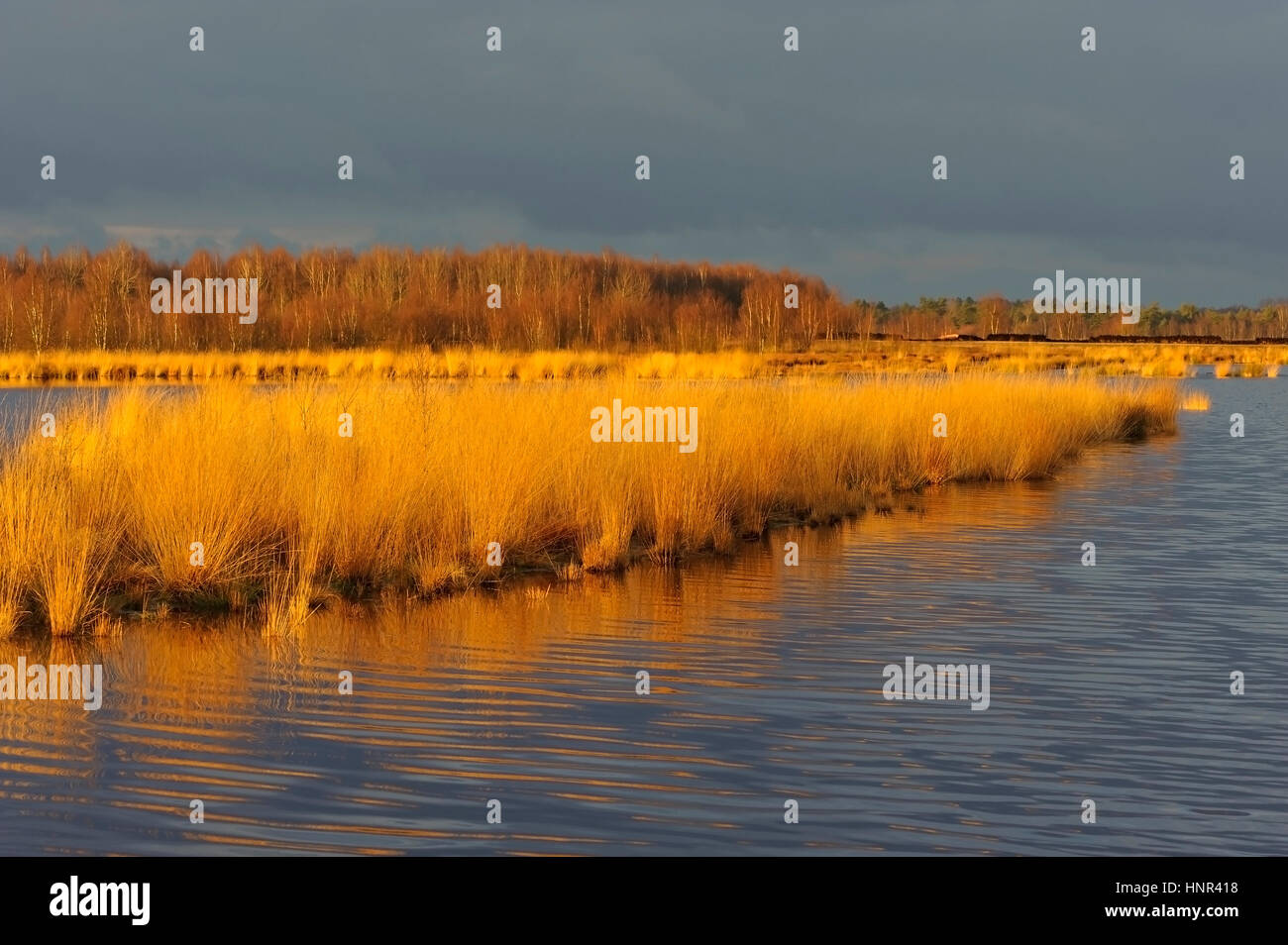 landscape in the Goldenstedter Moor, Lower Saxony, Germany Stock Photo