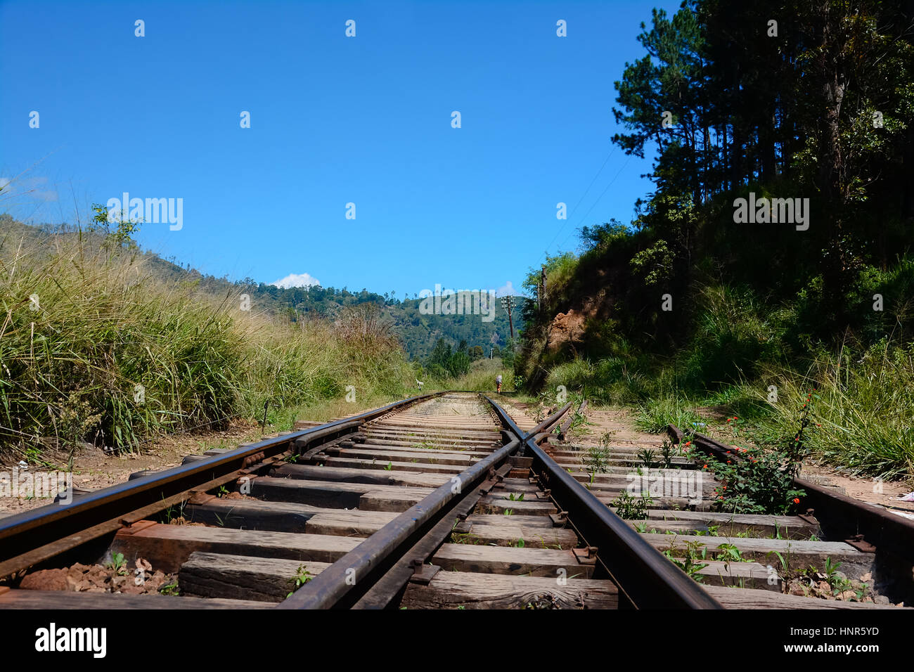 The Main Line Rail Road In Sri Lanka Stock Photo Alamy