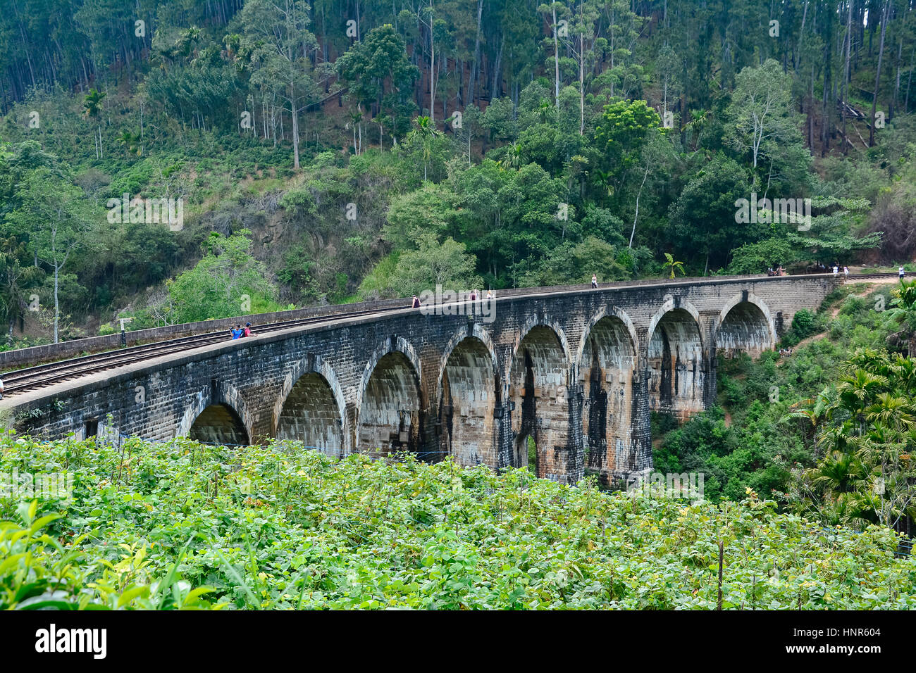 The Main Line Rail Road In Sri Lanka Stock Photo Alamy