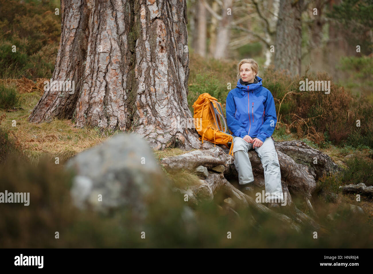 Woman hiking in Scotland Stock Photo