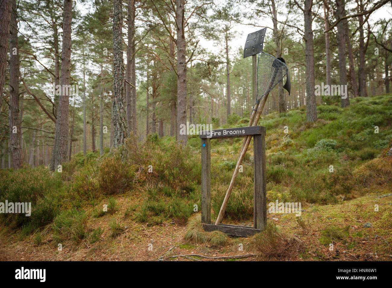 Fire equipment in a woodland forest Stock Photo
