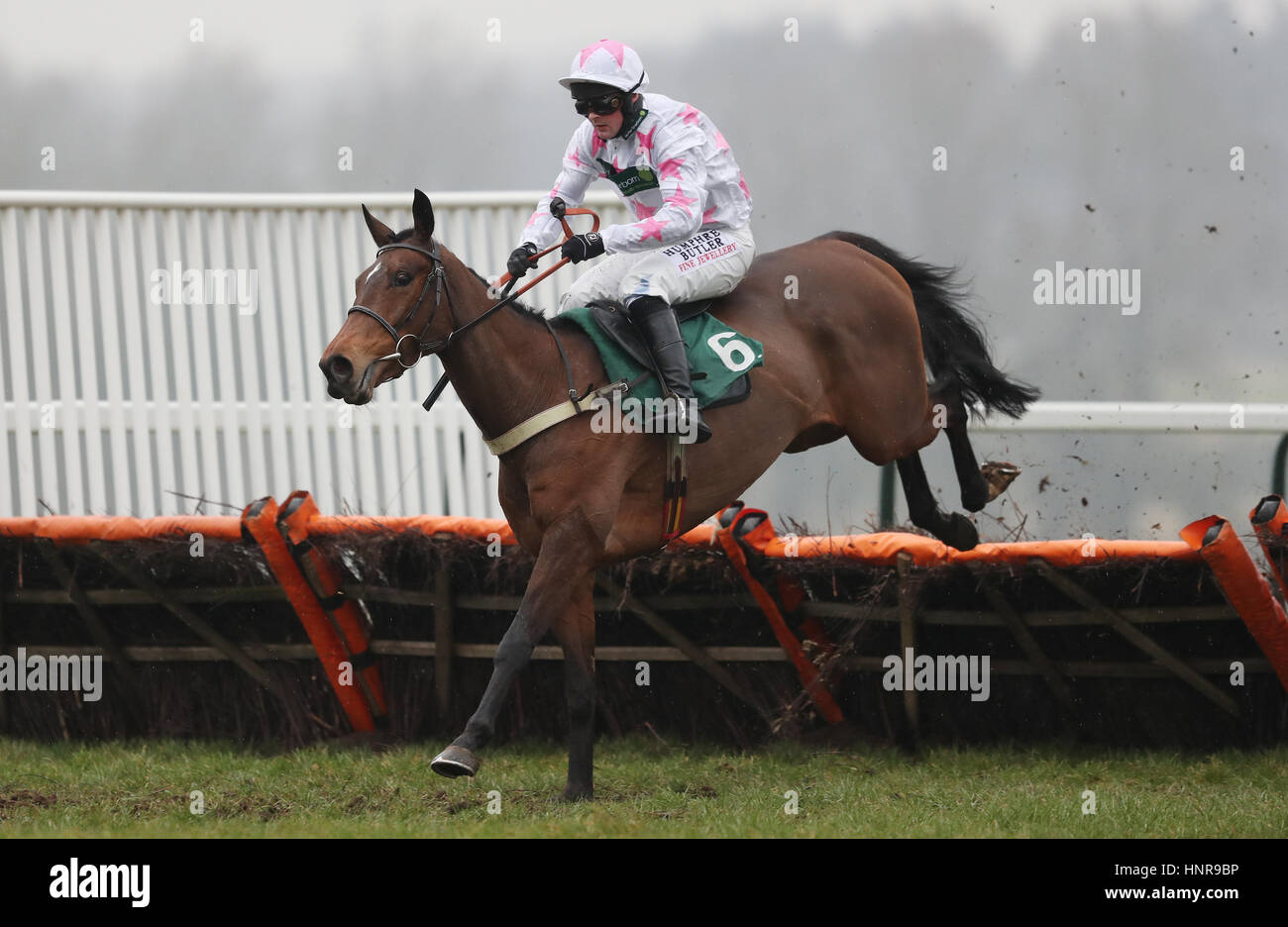 Two Swallows ridden by Nico de Boinville on their way to victory in the Geoffrey Leaver Solicitors Mares' Handicap Hurdle at Towcester Racecourse. PRESS ASSOCIATION Photo. Picture date: Wednesday February 15, 2017. Photo credit should read: David Davies/PA Wire Stock Photo