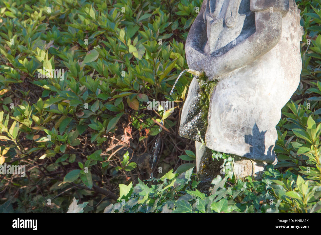 pissing in the garden A funny fountain of a farmer pissing in the garden Stock Photo - Alamy