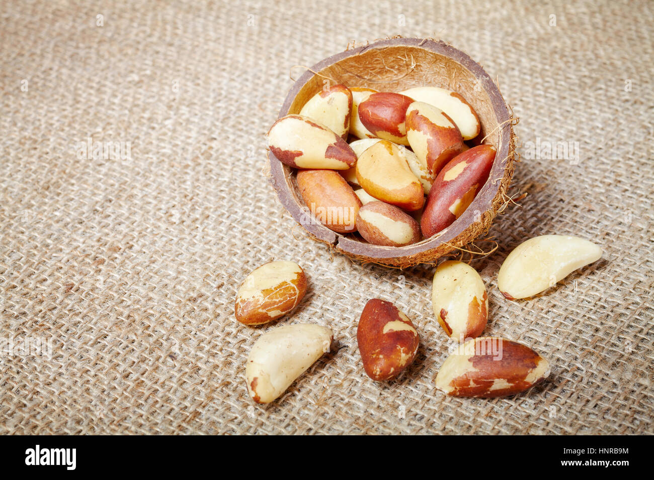 Brazil nuts in a coconut shell on a linen background, copy space. Stock Photo