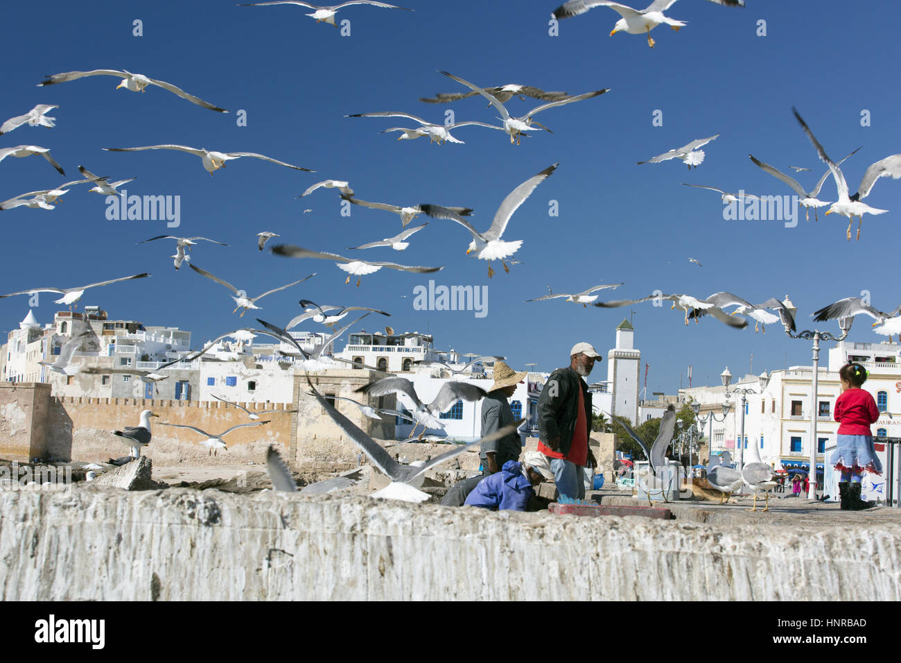 Stock Photo - Seagulls circle round the fishermen on the quay by the Skala de la Ville in Essaouira in Morocco, North Africa Stock Photo