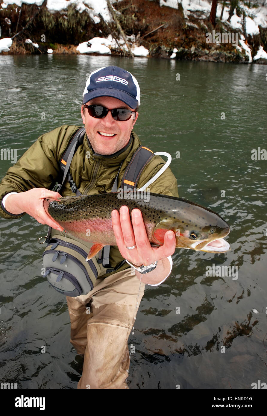 Spinning fishing (lure fishing) trout in lakes of Scandinavia. Brook trout  (steelhead rainbow trout, char, bull-trout, cutthroat, lax, Salmo trutta tr  Stock Photo - Alamy