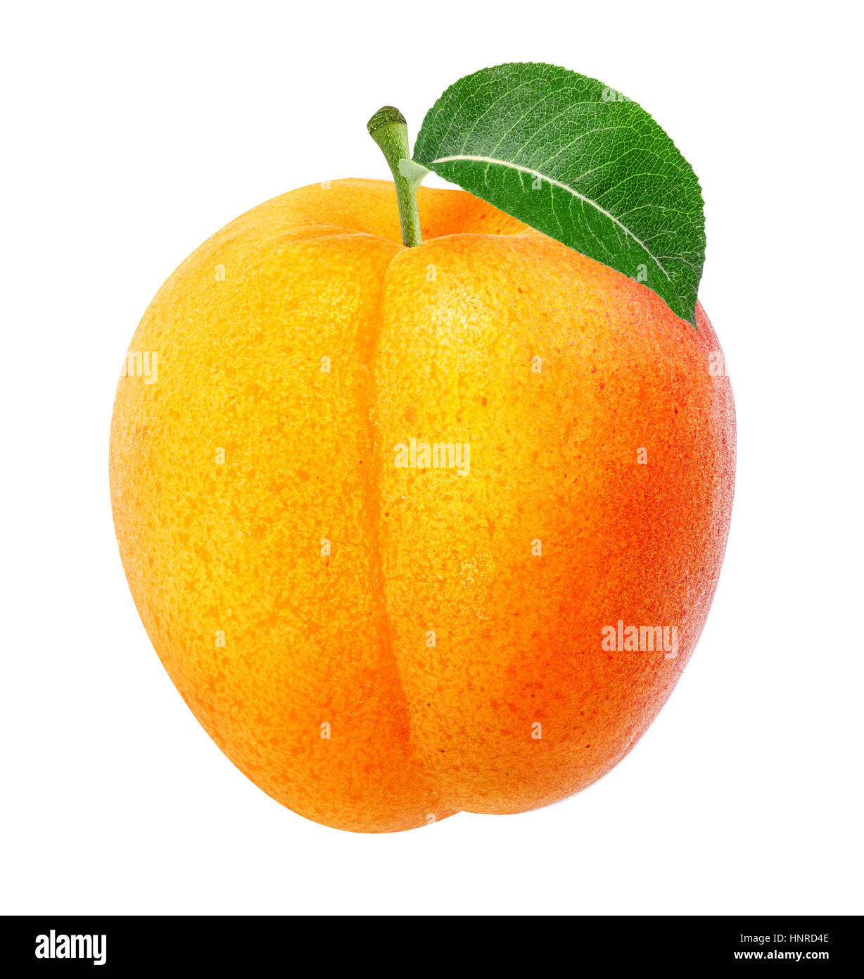apricot isolated on white background Stock Photo - Alamy
