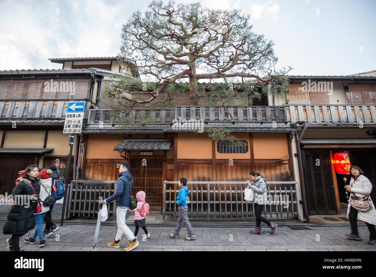 Hanami-koji Street , Kyoto , Japan. A tree growing out of a building. Stock Photo
