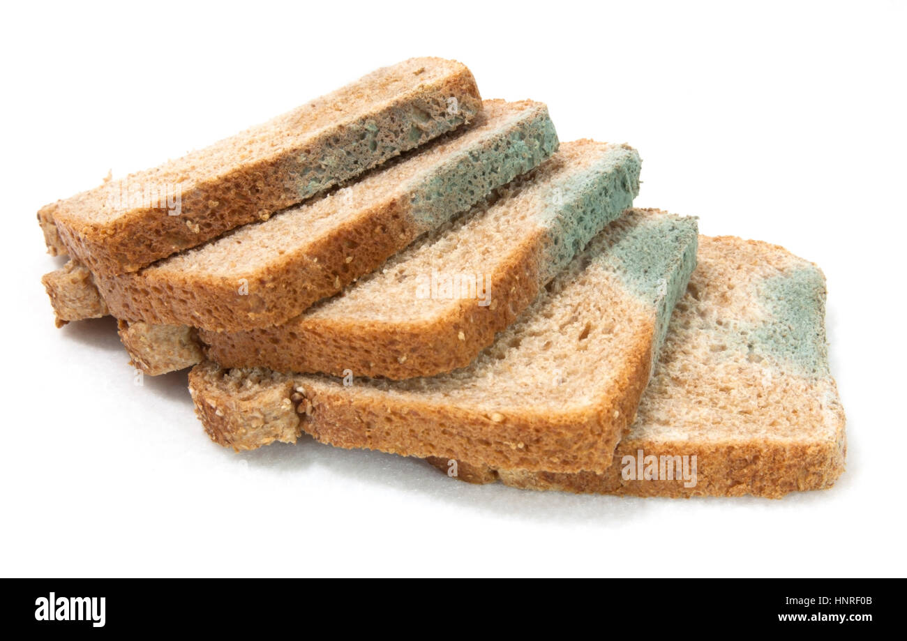 Five slices of molding wheat breadlying on top of one another, Isolated. Stock Photo