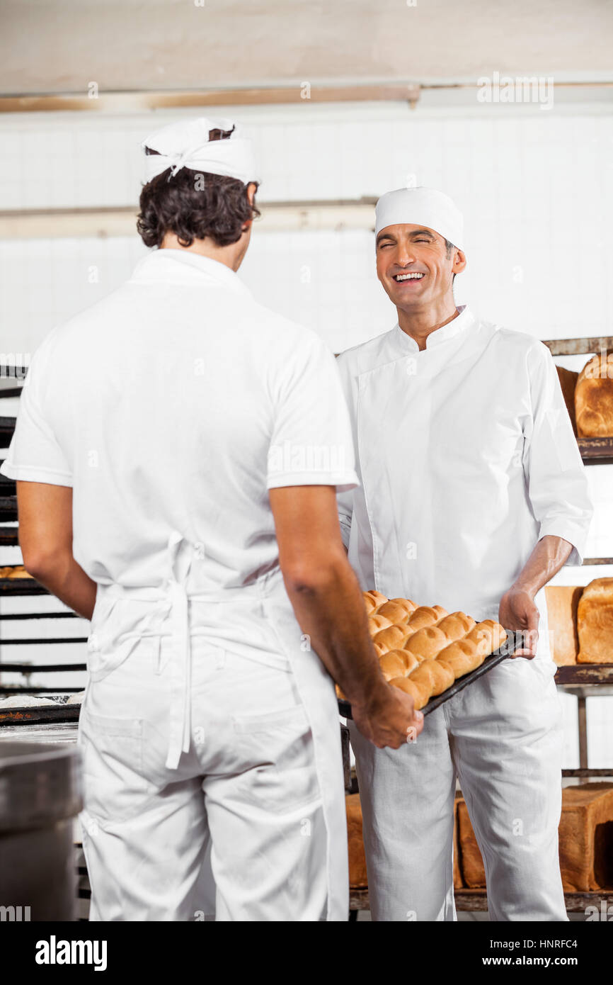 Happy Baker's Carrying Bread Loaves In Tray Stock Photo