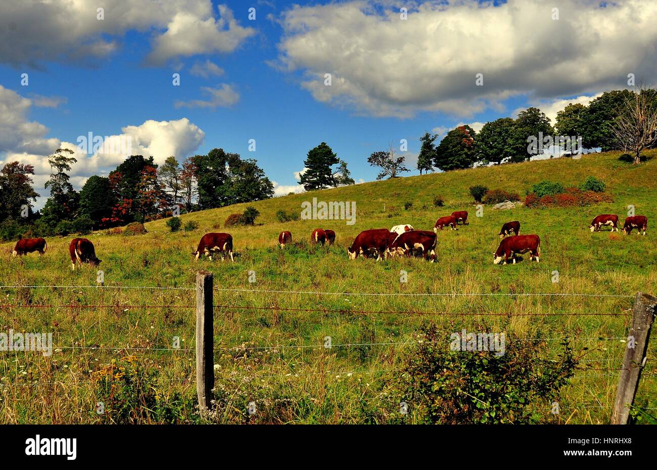 Spencertown new york hires stock photography and images Alamy