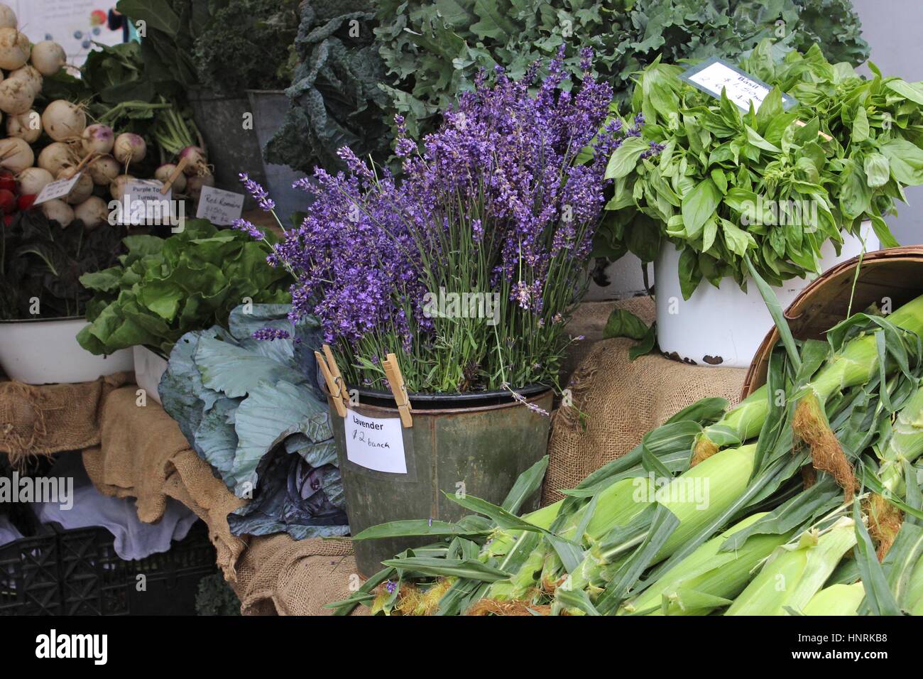 Lavender for sale at a farmer's market Stock Photo