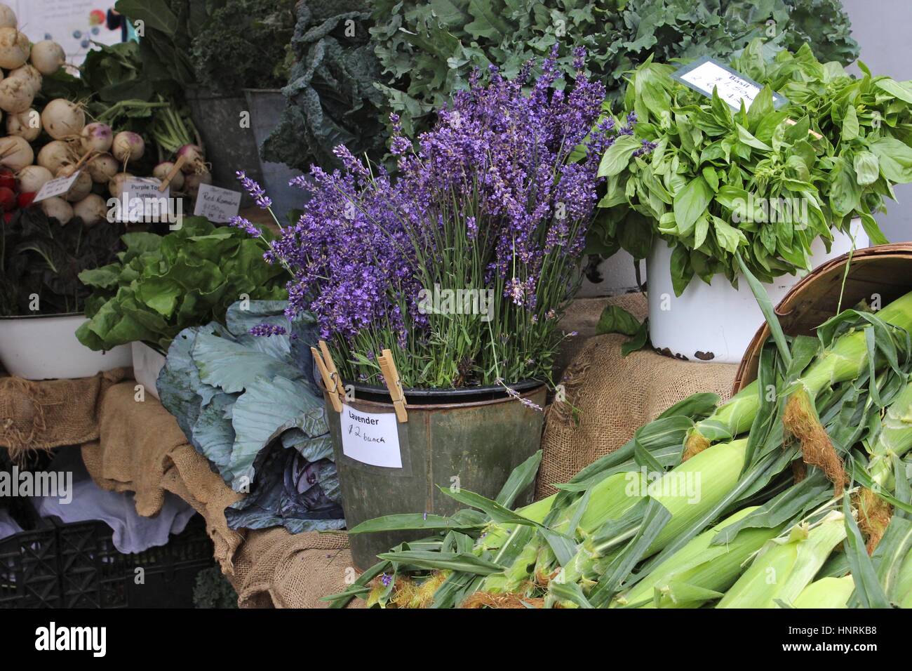 Lavender for sale at a farmer's market Stock Photo Alamy