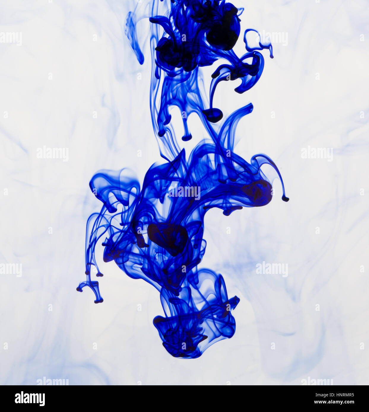 Abstract image of ink flowing in water to make an interesting and ...