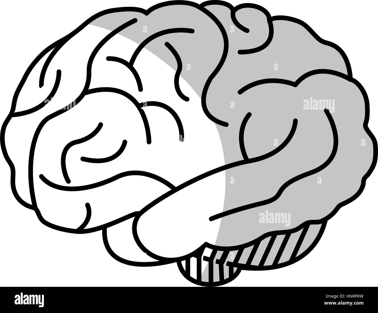 Human brain organ icon over white background. vector illustration Stock ...
