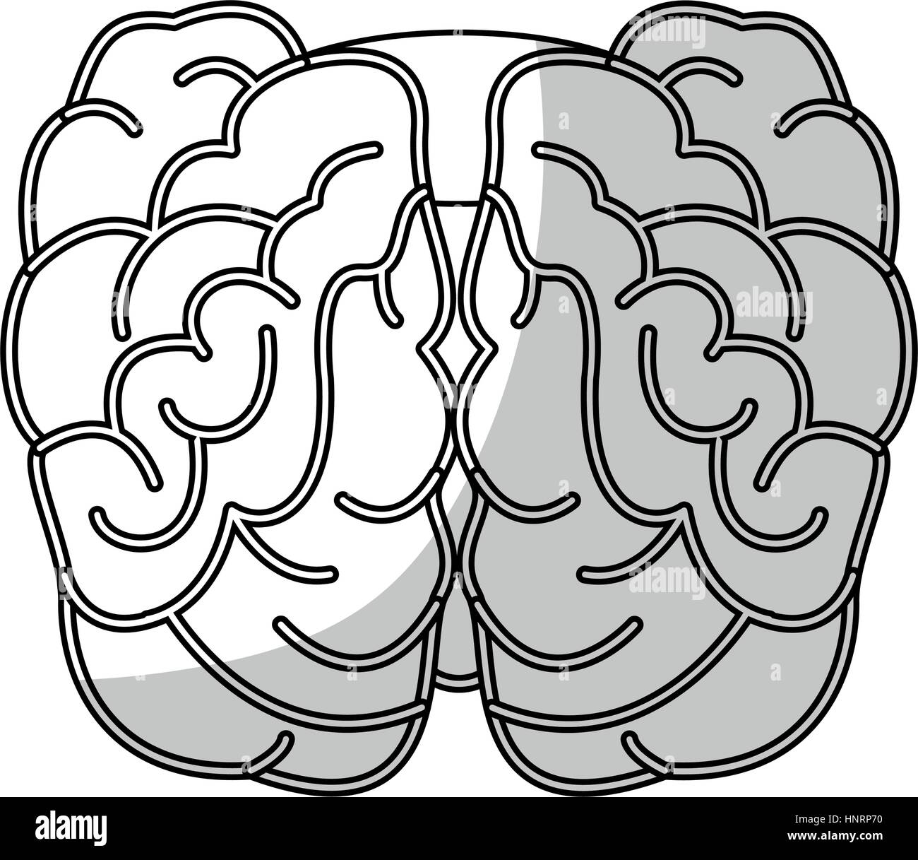 Human brain organ icon over white background. vector illustration Stock ...
