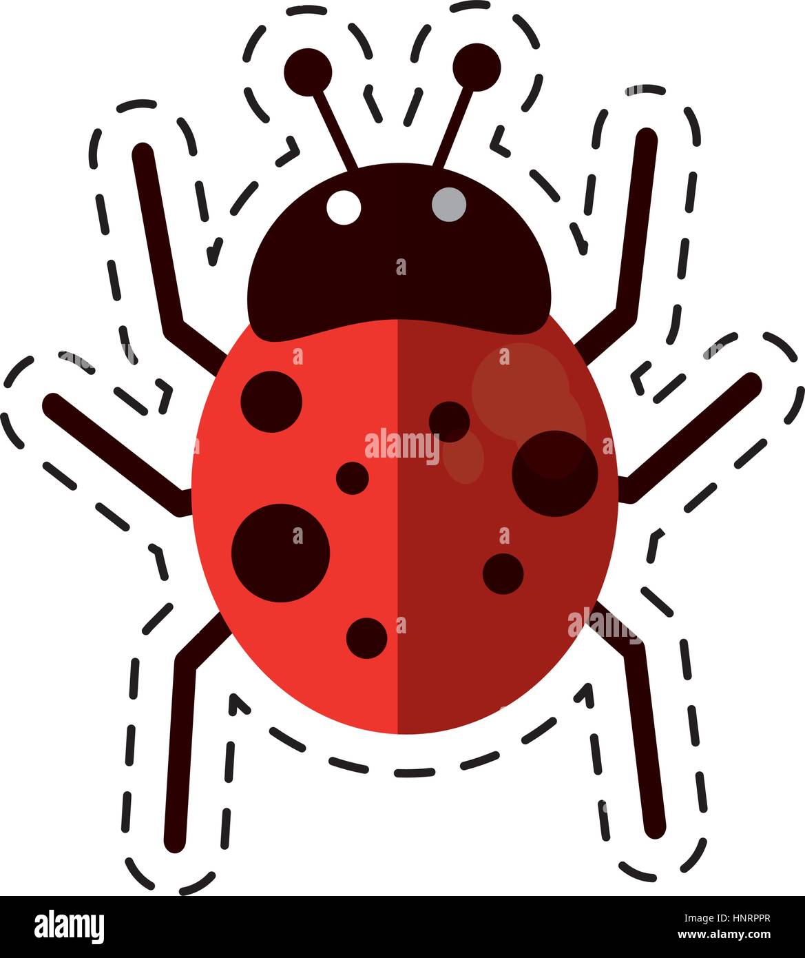 cartoon ladybug fly antenna animal vector illustration eps 10 Stock