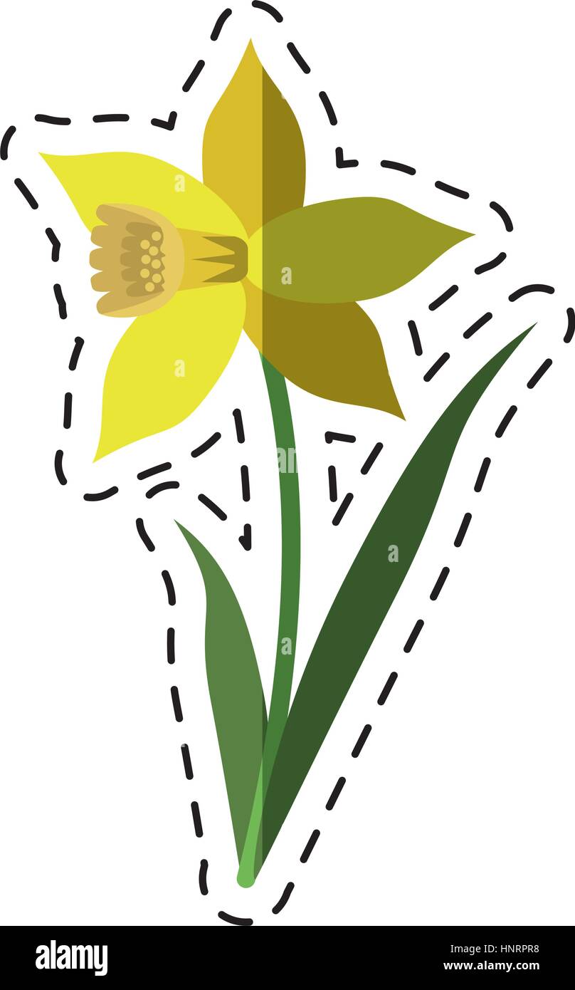 Cartoon Daffodil Flower Leaf Bloom Vector Illustration Eps 10 Stock Vector Image Art Alamy Cartoon Daffodil Flower Leaf Bloom Vector Illustration Eps 10 Stock Vector Image Art Alamy