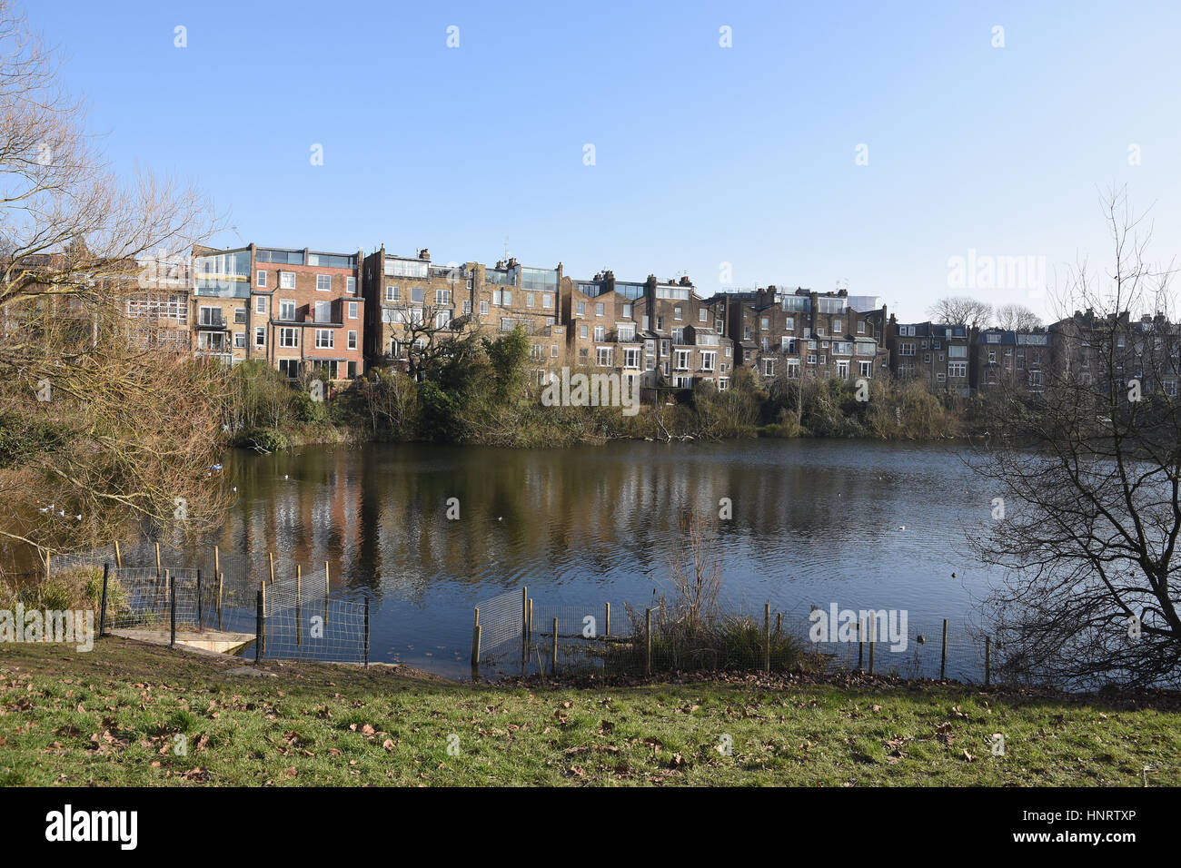Hampstead Heath Number 2 Pond with houses in South Hill Park in the