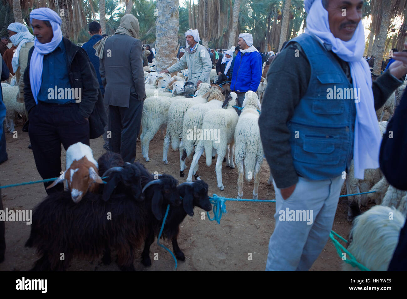 Tunisia.Douz. the large market on Thursdays. Stock Photo