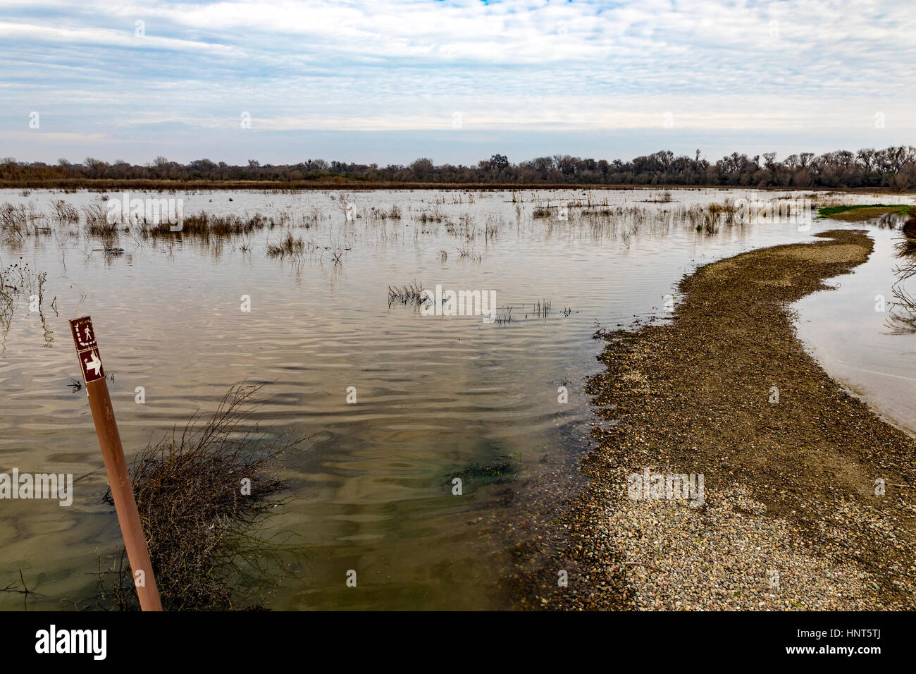 California, USA. 15th Feb, 2017. Normally dry areas of the refuge are under water displacing wildlife and making trails inaccessible to the public as the San Joaquin River flows outside its banks. The tree line in the distance is the normal channel the river runs in non flood conditions. It is currently raining in California again and rivers are expected to rise. Credit: John Crowe/17�Թ����� Live News Stock Photo