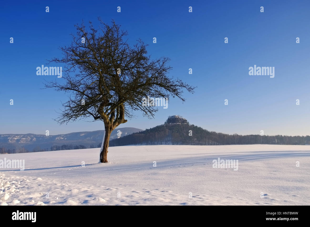 Zirkelstein im Winter - mountain Zirkelstein in Elbe Sandstone Mountains in winter Stock Photo