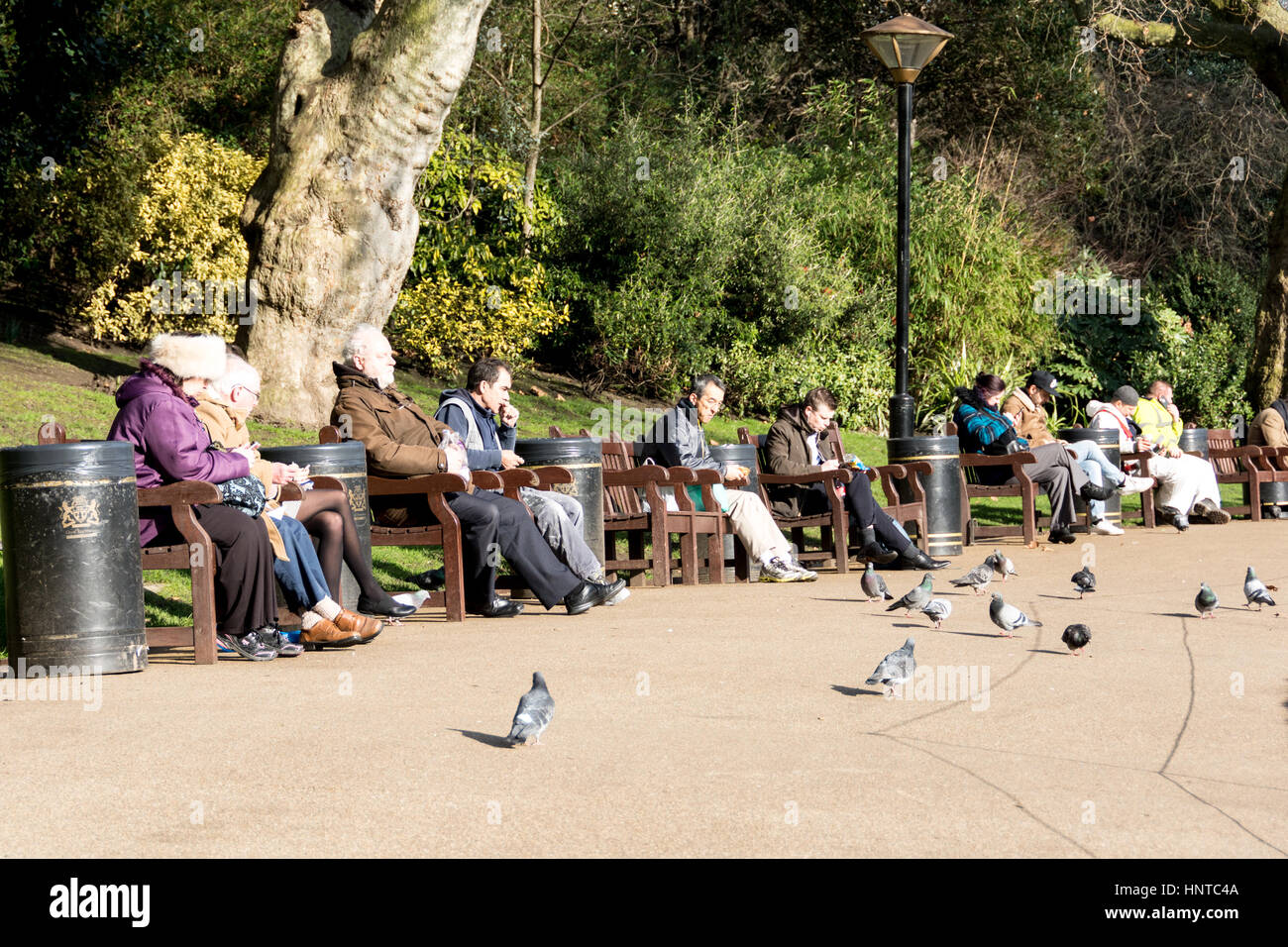 People relaxing in the sun on Embankment Gardens in London, UK. Stock Photo