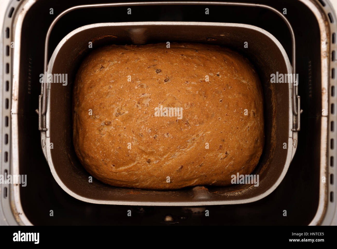 Baked bread in bread machine Stock Photo Alamy
