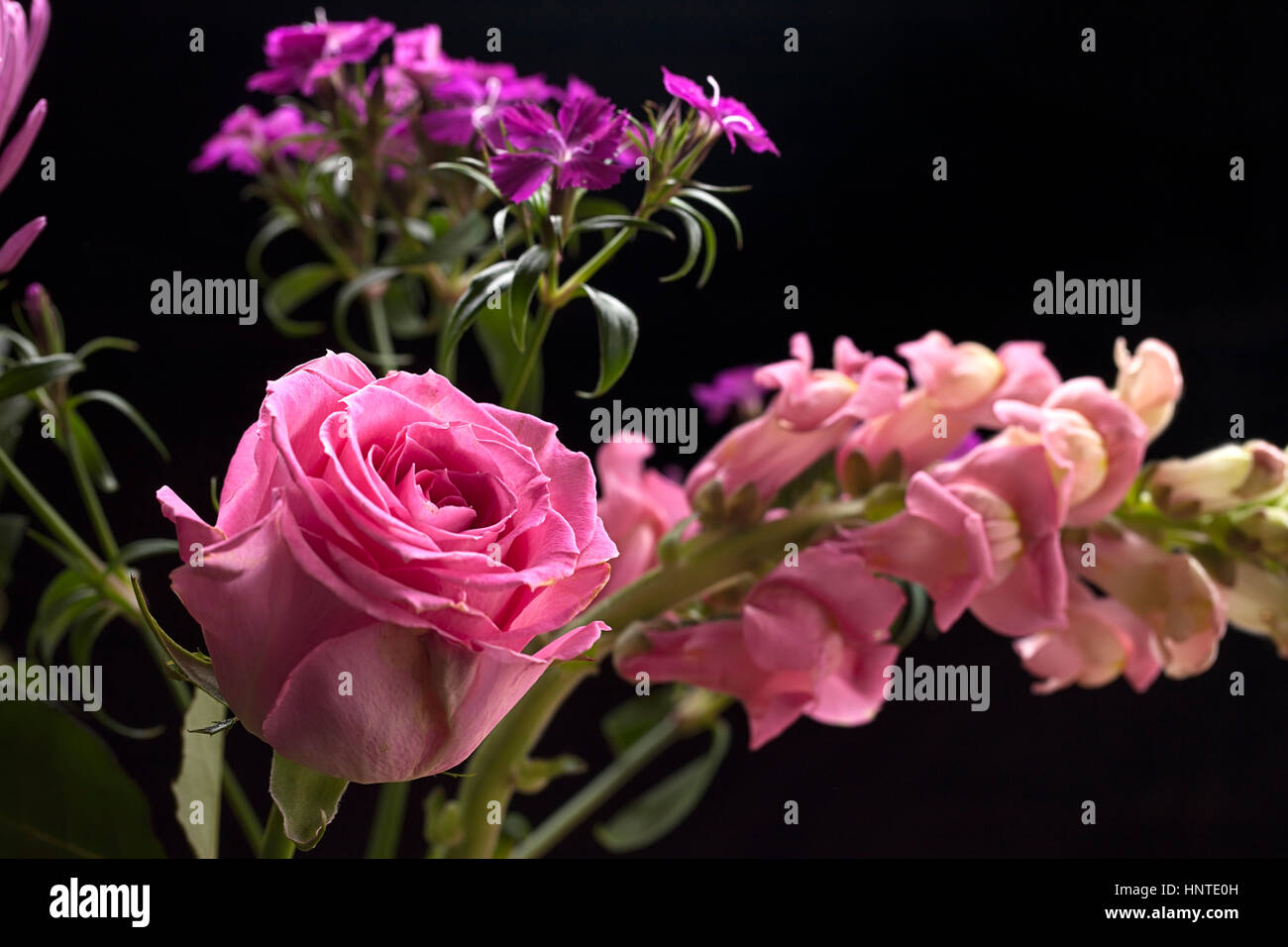A single pink rose within a small bouquet of flowers. Stock Photo