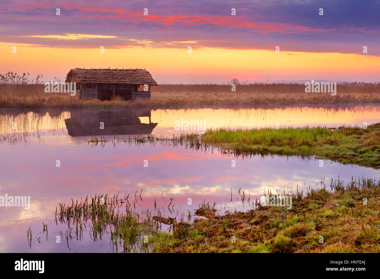 Sunrise landscape, Narew National Park, Poland Stock Photo