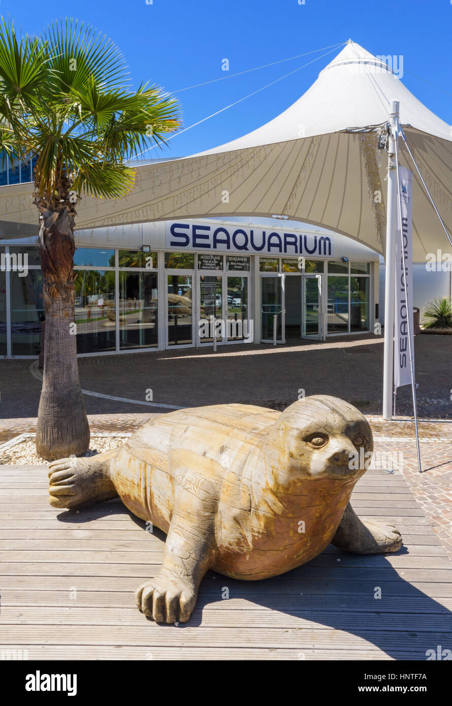 Wooden seal sculpture outside the Seaquarium entrance in Le Grau-du-Roi, Gard, France Stock Photo