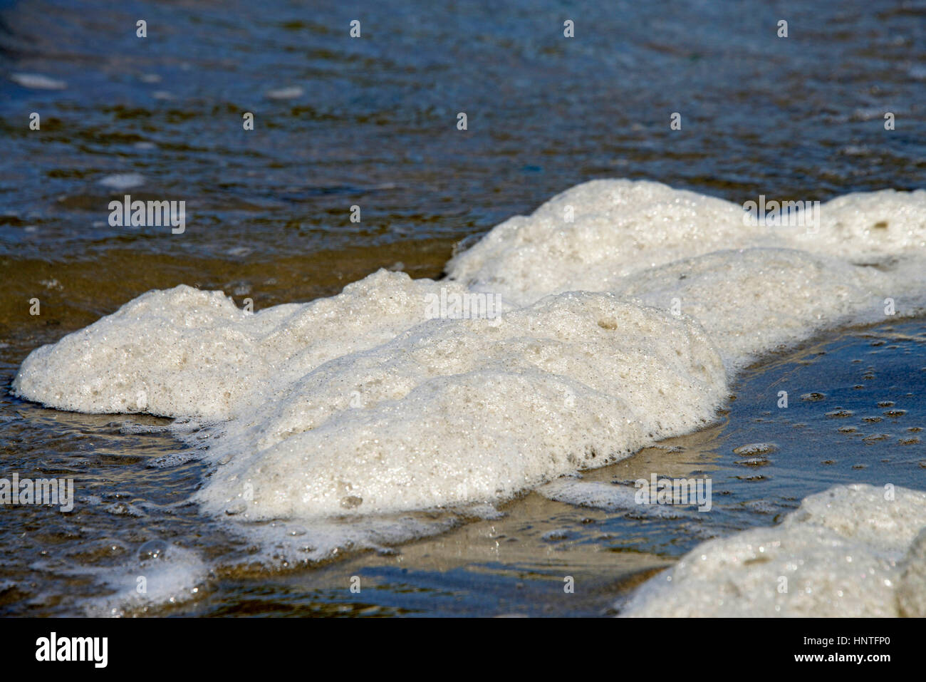 Sea foam is created by the agitation of seawater when it contains higher concentrations of dissolved organic matter including proteins and lipids from Stock Photo
