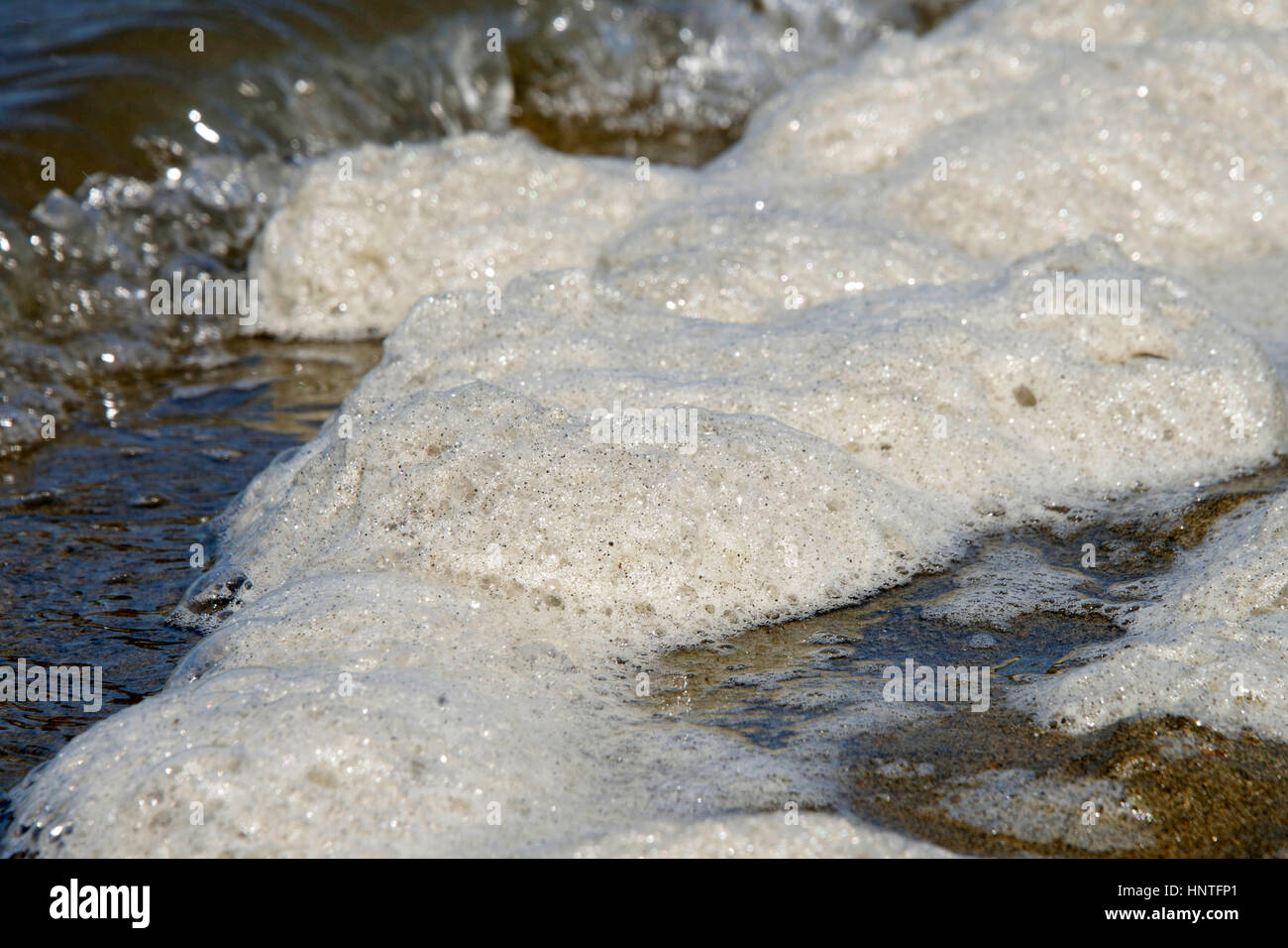 Sea foam forming on the beach, strong sticky spume substance made from  organic matter in seawater. . High quality photo Stock Photo - Alamy