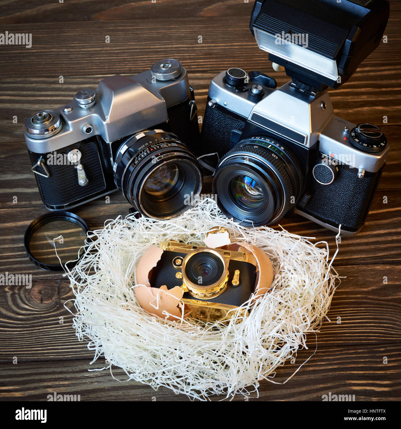 My Image 11