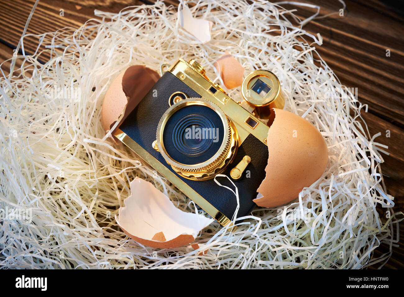 Concept small compact photo camera as baby in the nest Stock Photo