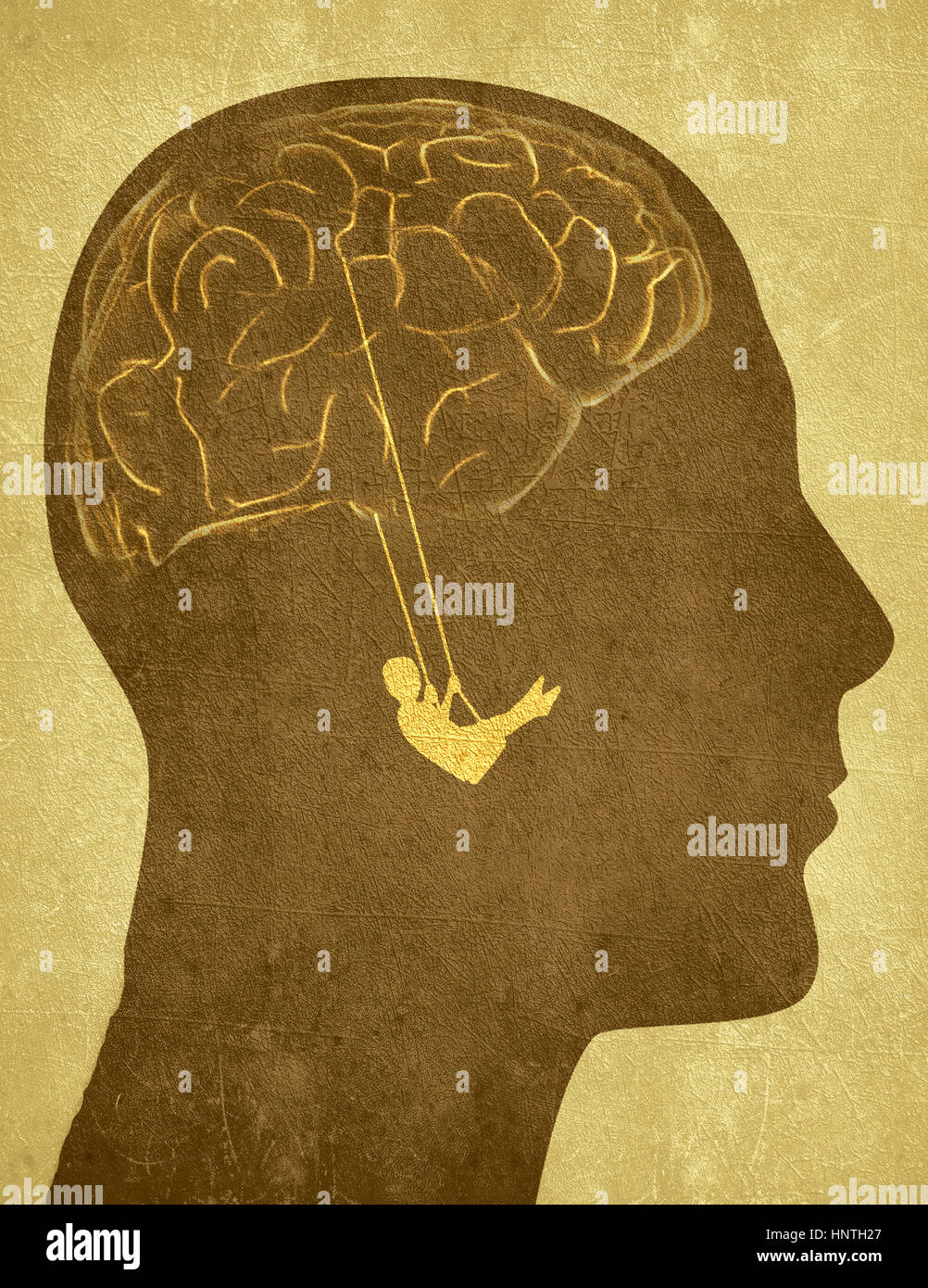 human head silhouette with brain and swing Stock Photo