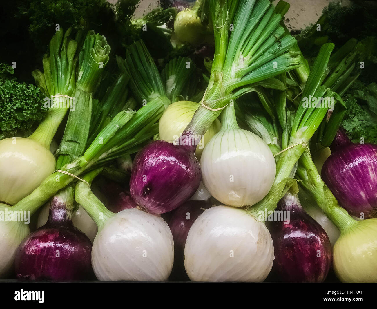 Beautiful fresh organic whole onions for sale at a grocery store or