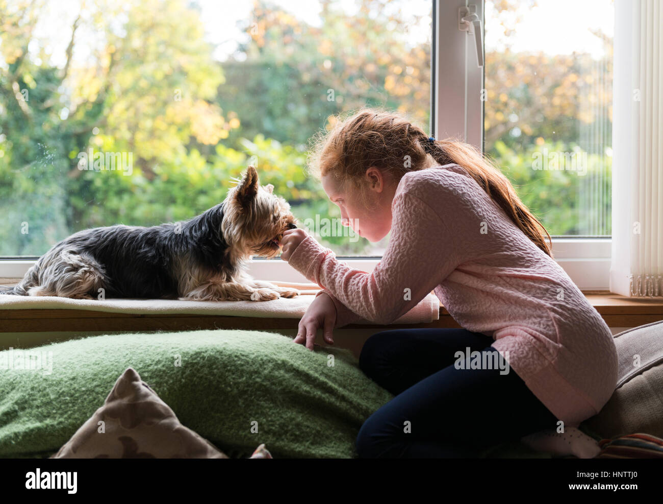 A little girl with her pet dog Stock Photo - Alamy
