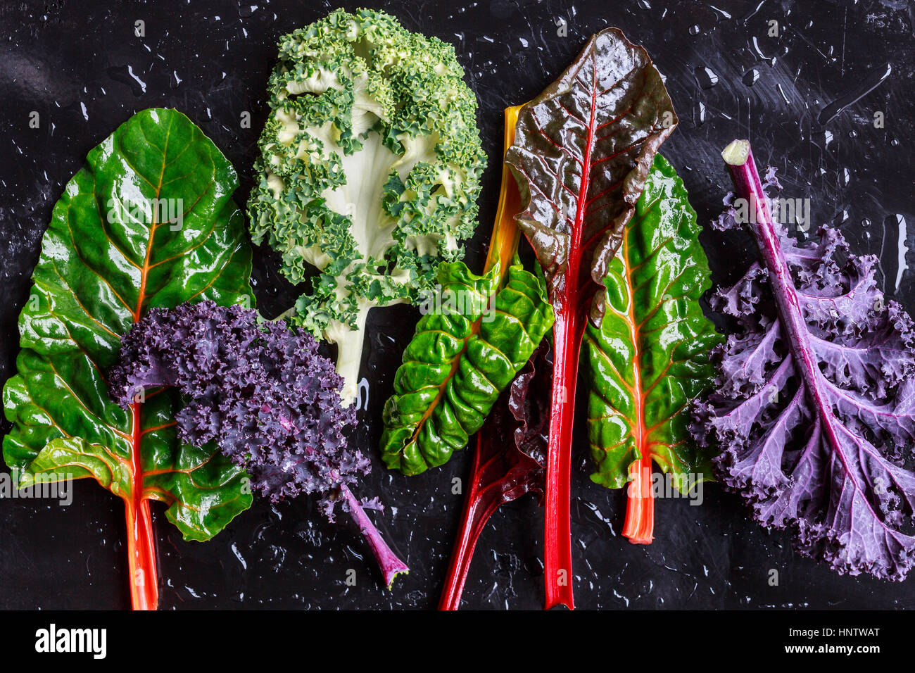 Purple Kale and swiss chard Stock Photo
