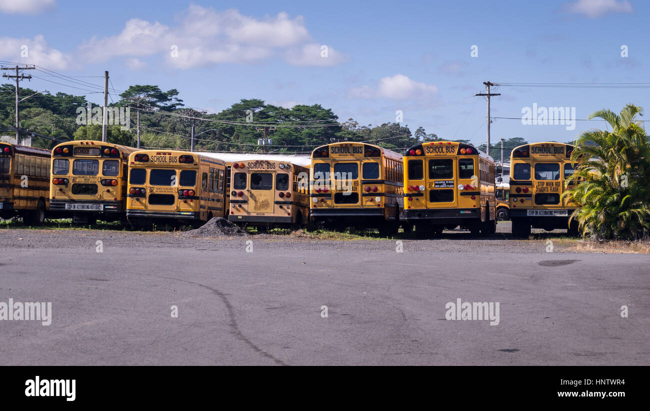 American school bus rear view in a row Stock Photo