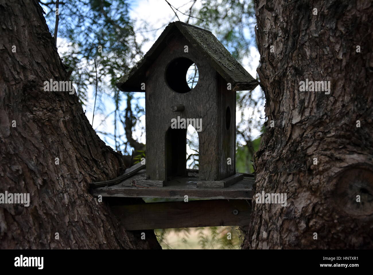 Bird Feeder Feeding Birds Tree House For The Birds Cheerful