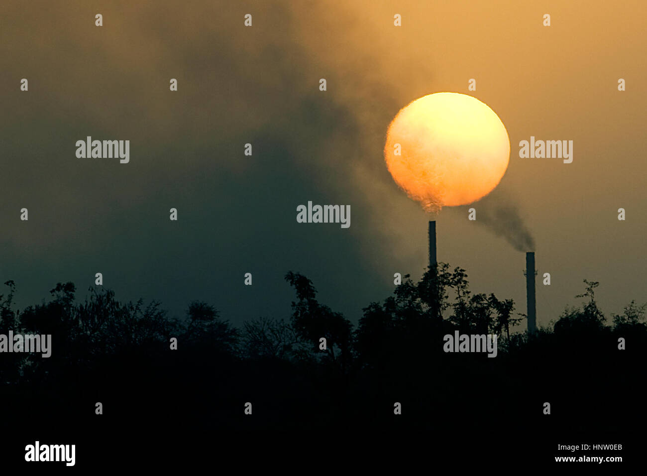 Thick black smoke coming out of chimneys/industy against setting sun, blurring some part of the sun, looks like melting Sun, trees in foreground Stock Photo