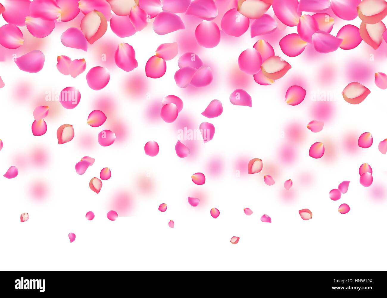 Vector falling rose pink petals. Floral background Stock Vector Image ...