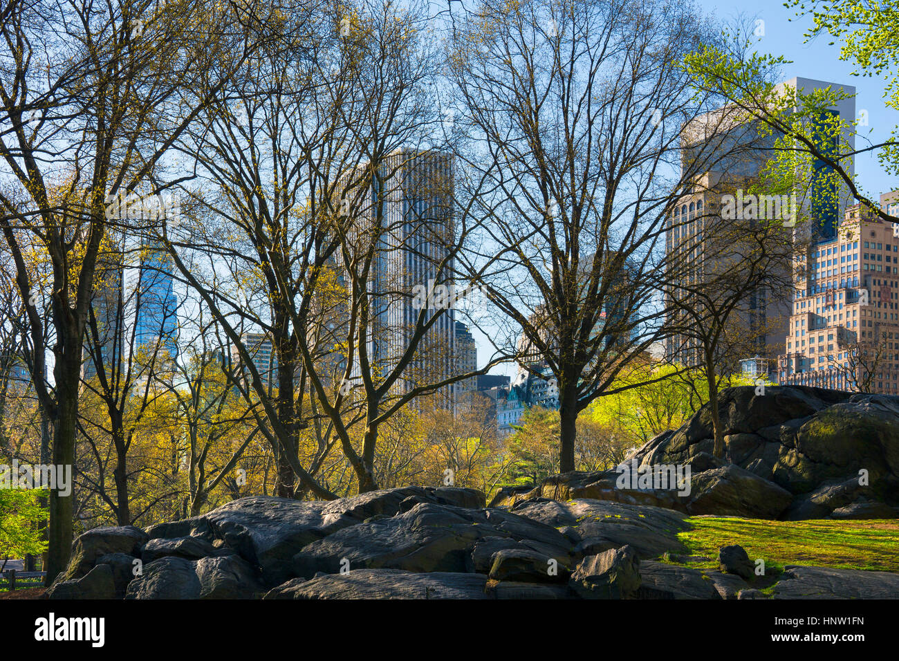 Parks With Rocks Rocks and trees in urban park Stock Photo - Alamy