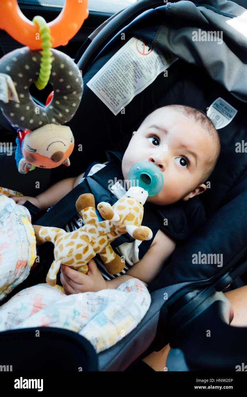 Curious Mixed Race baby boy with pacifier in car seat Stock Photo Alamy