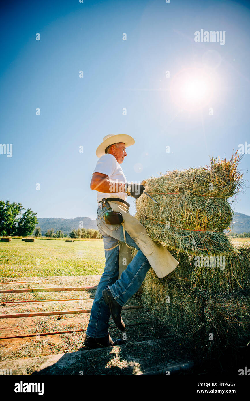 hay hauling chaps