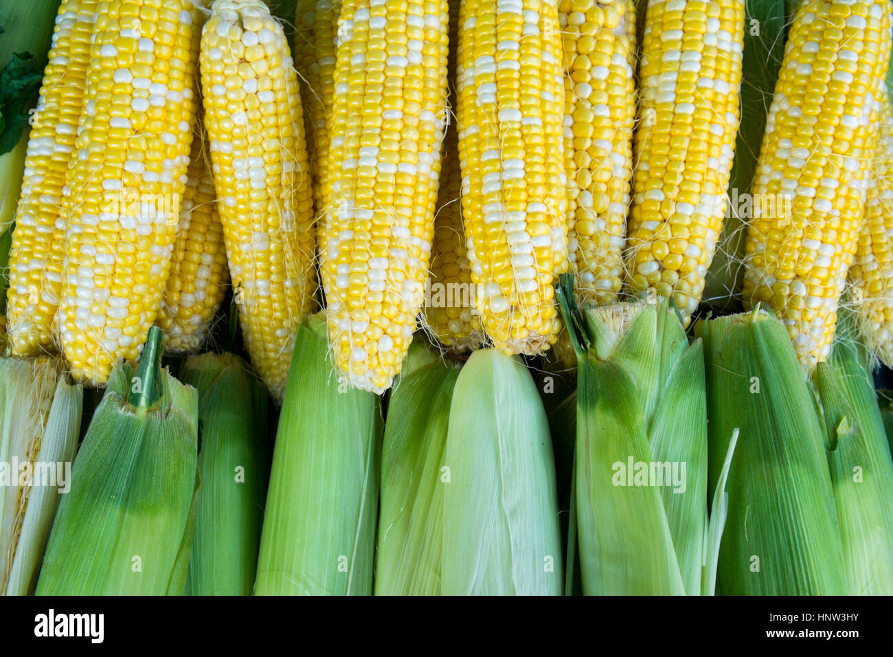 Fresh corn at market Stock Photo