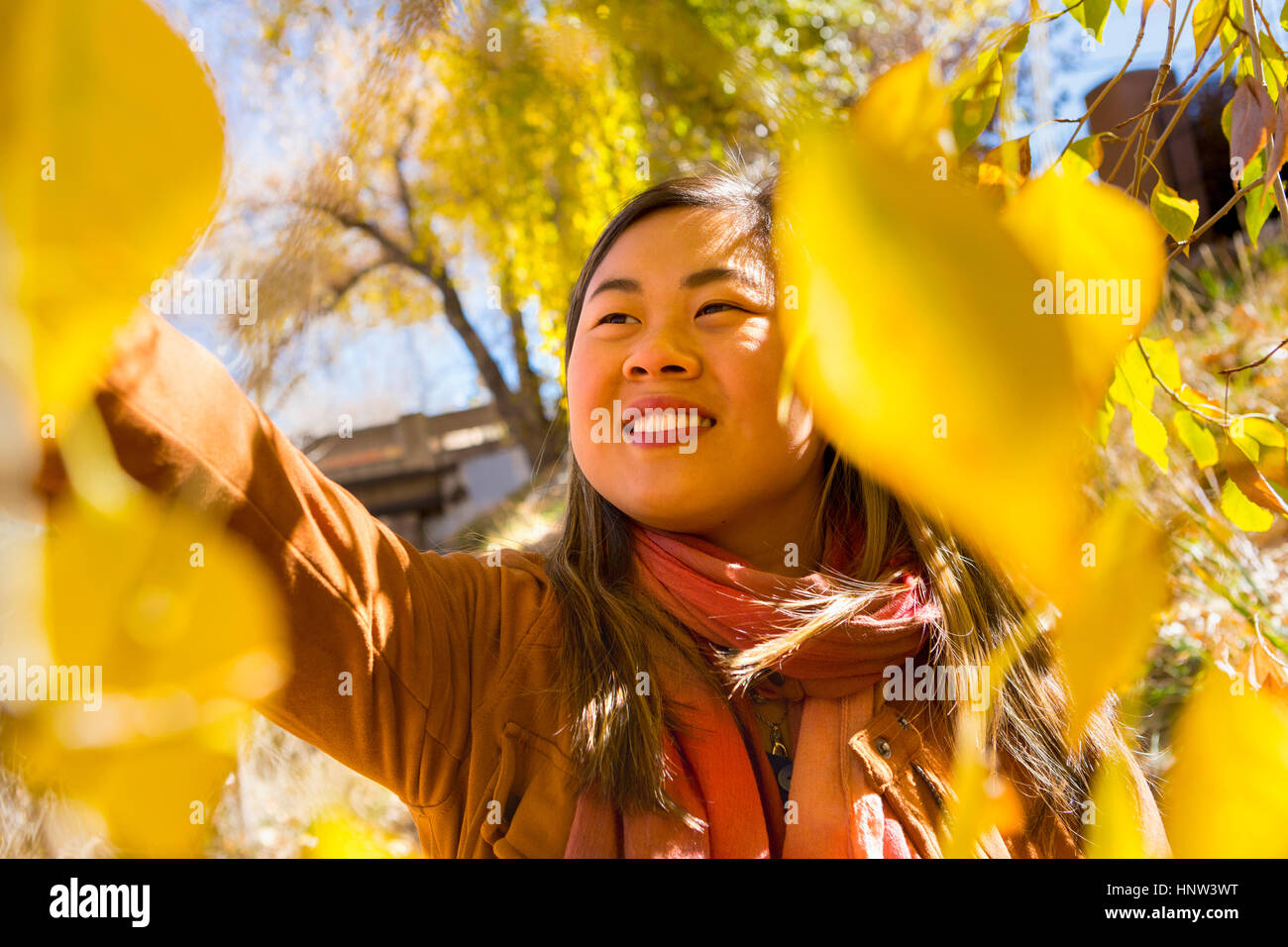 Smiling Asian woman reaching for leaf in autumn Stock Photo