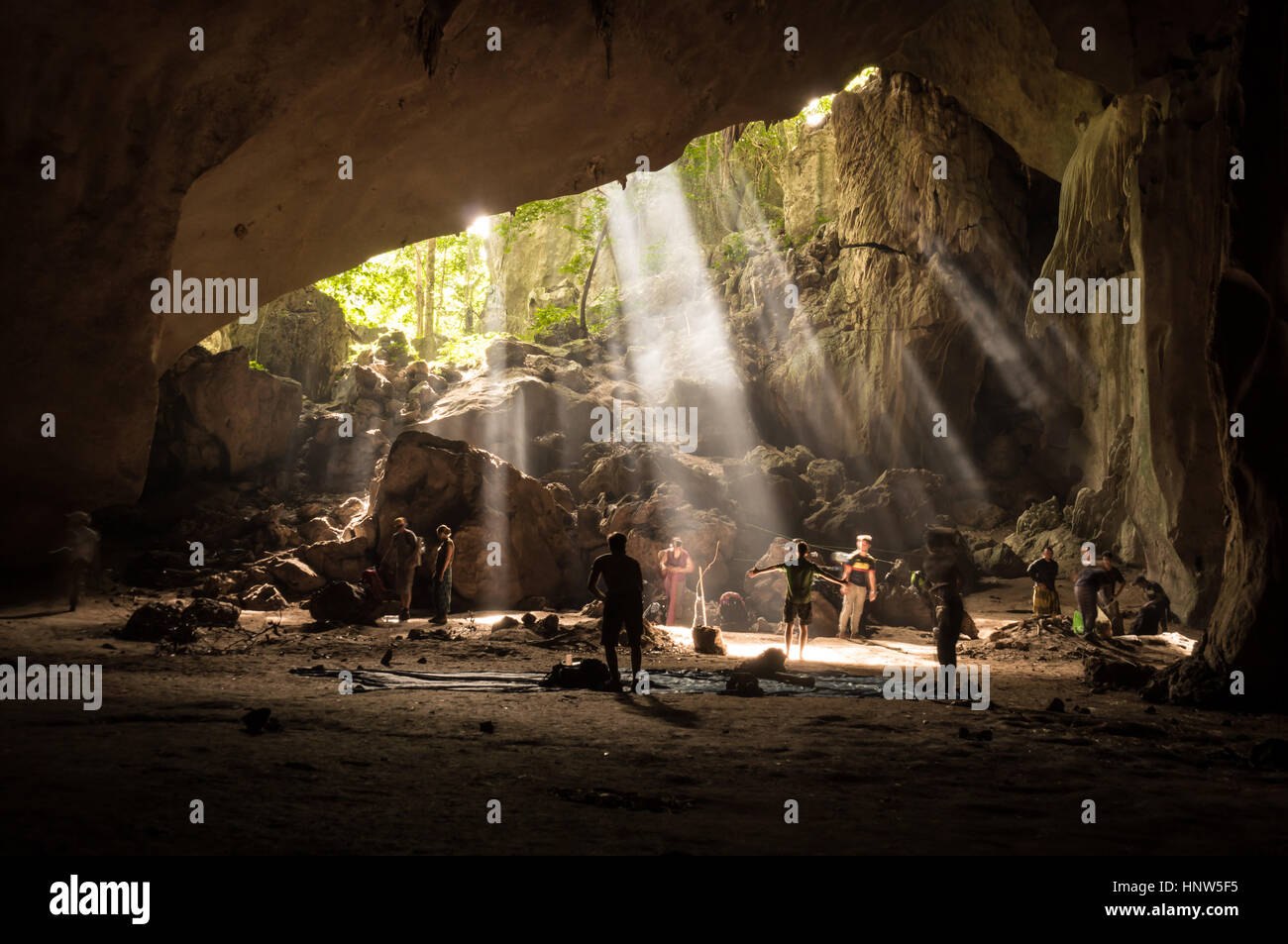 Rainforest cave in Taman Negara, Malaysia Stock Photo