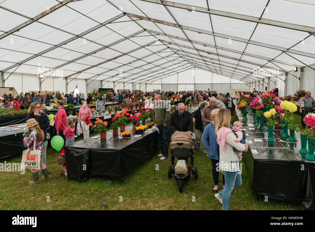 Food and Flower Hall at Anglesey Show Stock Photo Alamy